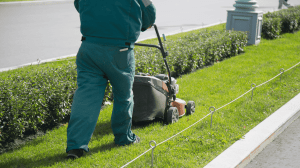 Grasspromtl Landscaping photo 5