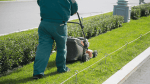 Grasspromtl Landscaping photo 4